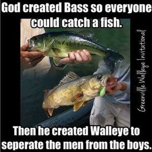 Meet your Posher, Cory